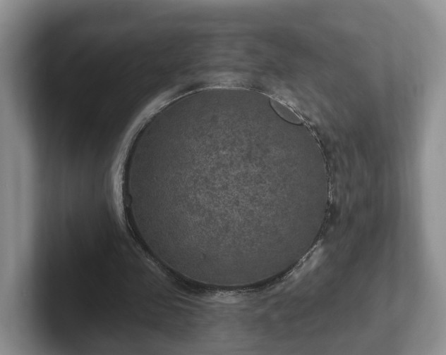 X0000102410341200808081329