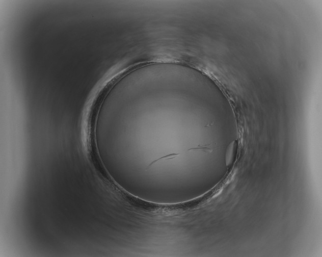 X0000102410343200808081329