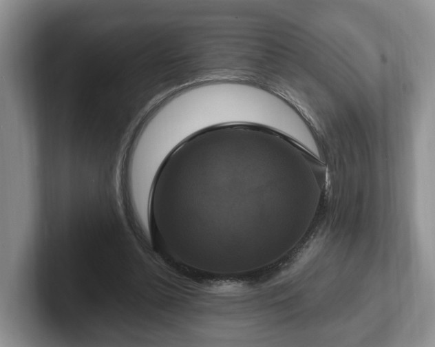 X0000102410348200808081329