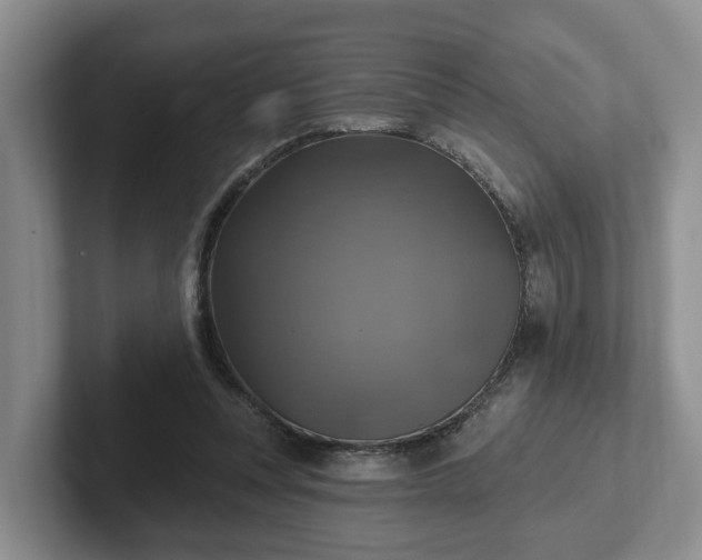 X0000102410351200808081329