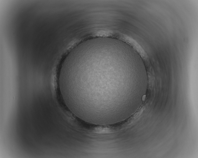 X0000102410354200808081329