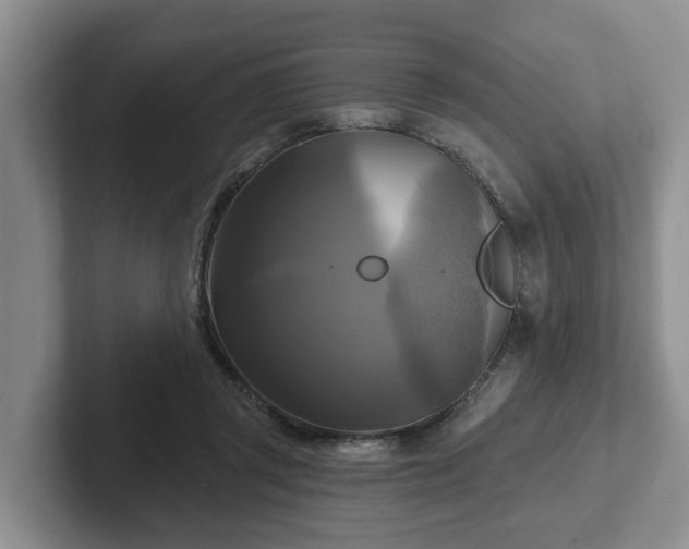 X0000102410357200808081329