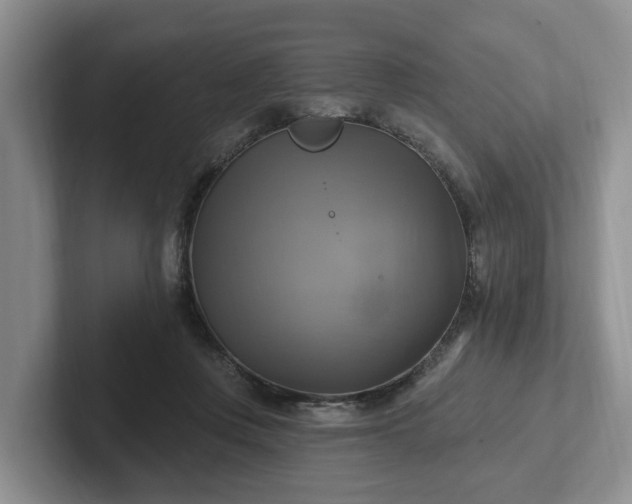 X0000102410359200808081329