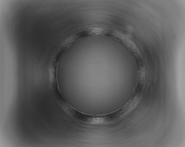 X0000102410361200808081329