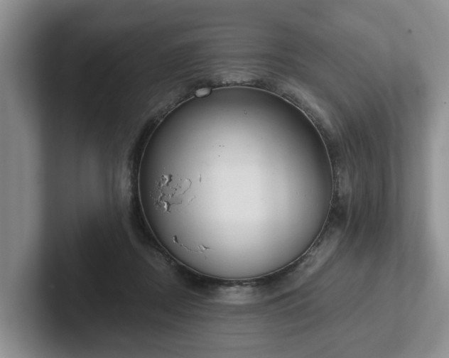 X0000102410362200808081329