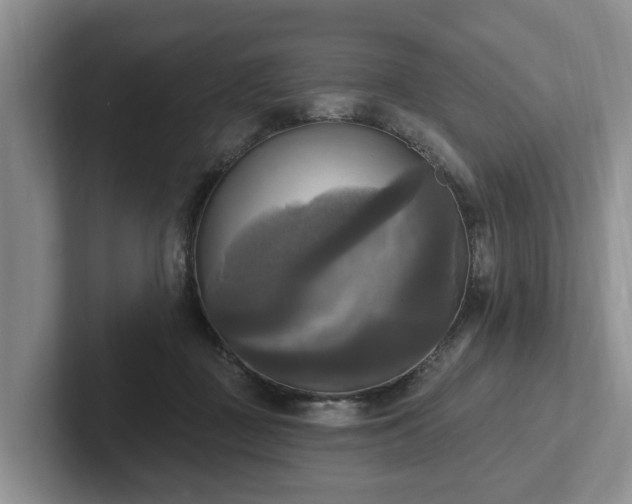 X0000102410363200808081329