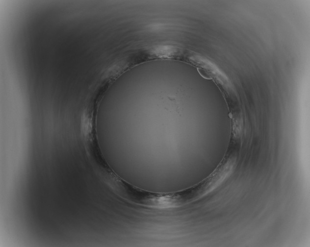 X0000102410365200808081329