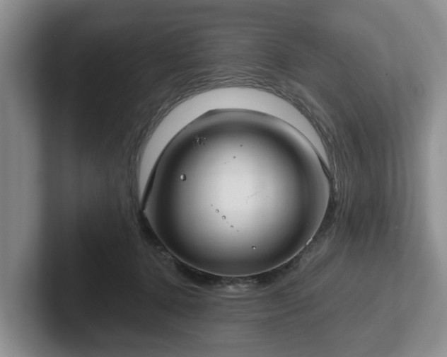 X0000102410368200808081329