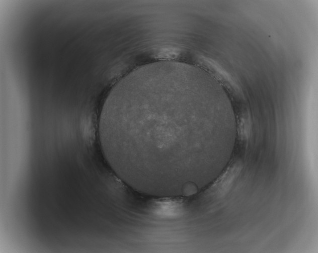 X0000102410370200808081329