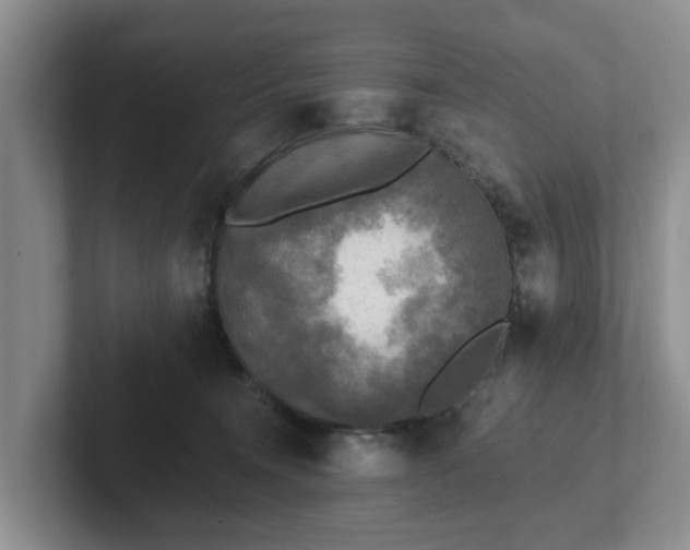 X0000102410372200808081329