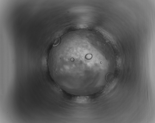 X0000102410373200808081329