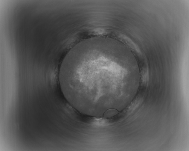 X0000102410376200808081329