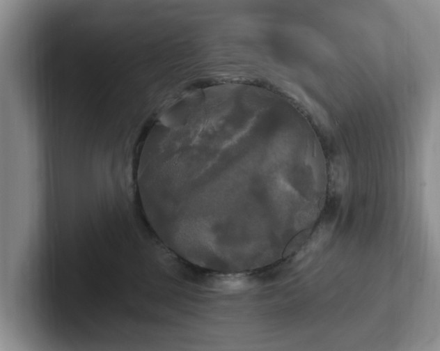 X0000102410377200808081329