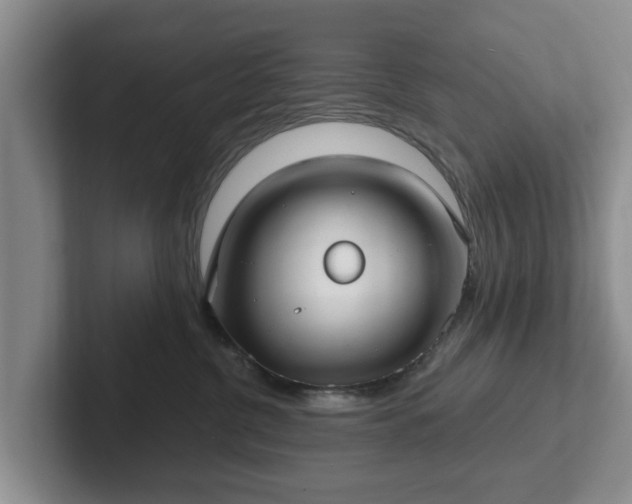 X0000102410380200808081329