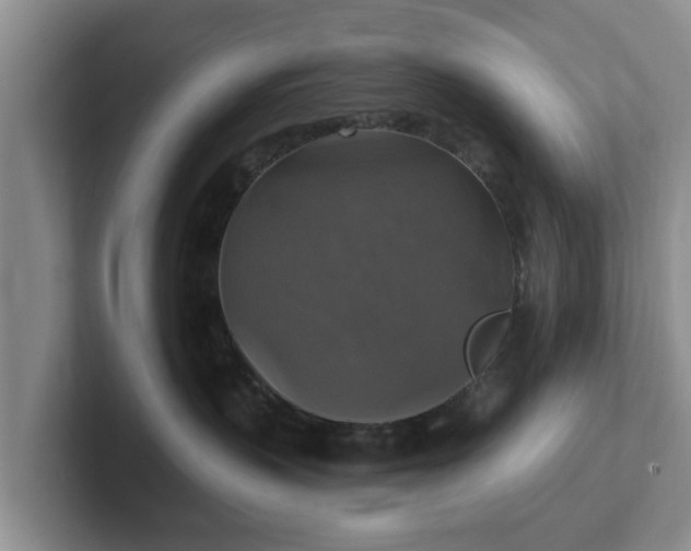 X0000102410383200808081329