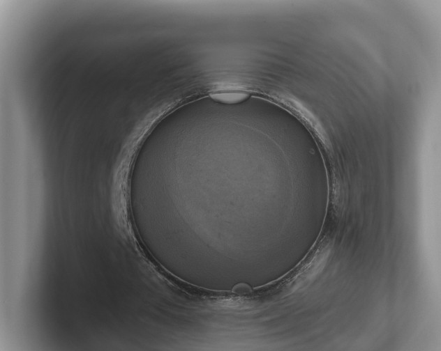 X0000102410385200808081329