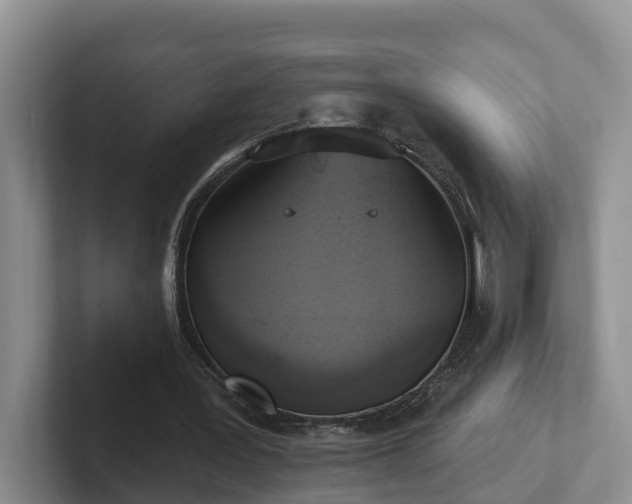 X0000102410387200808081329