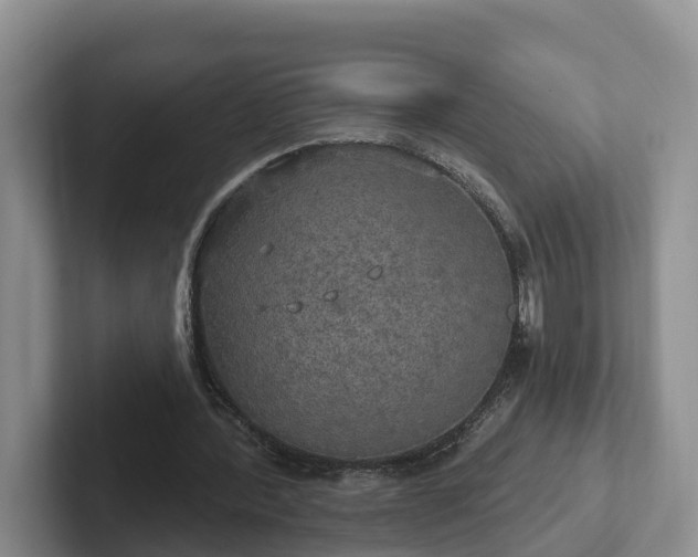 X0000102410388200808081329