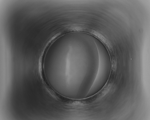 X0000102410390200808081329