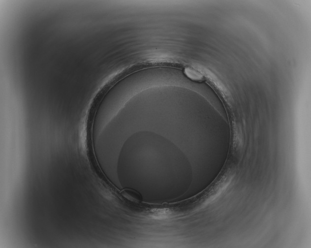 X0000102410391200808081329