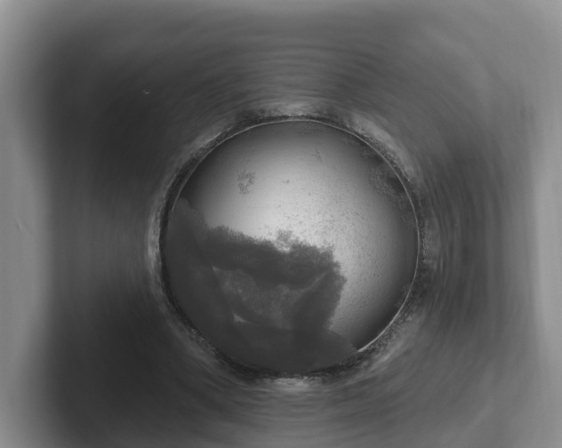 X0000102410394200808081329