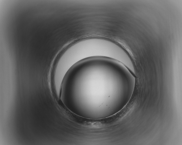 X0000102410395200808081329