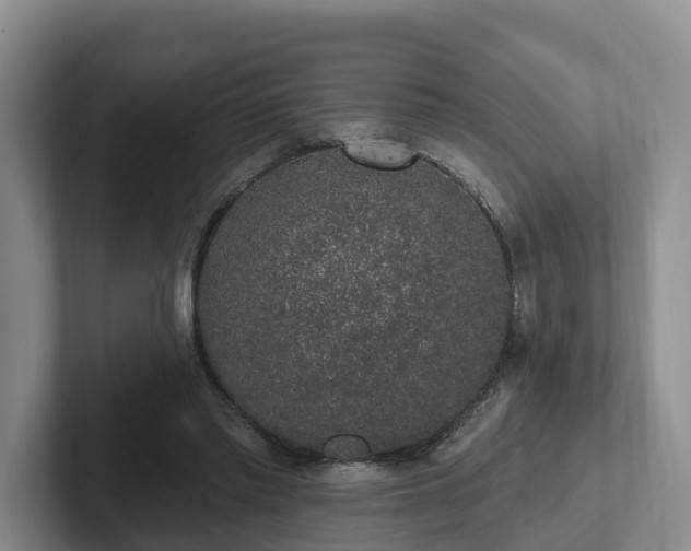 X0000102410397200808081328