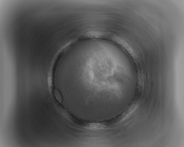 X0000102410399200808081328