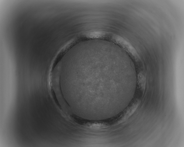 X0000102410400200808081328