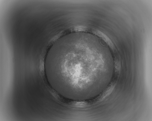 X0000102410401200808081328