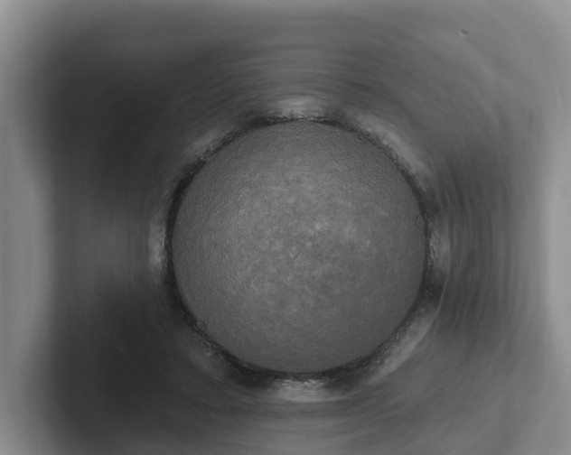 X0000102410403200808081328