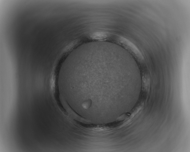 X0000102410404200808081328