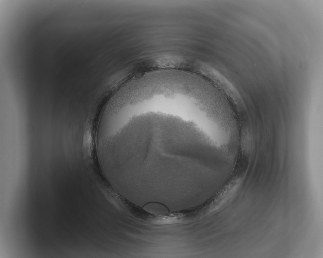 X0000102410405200808081328