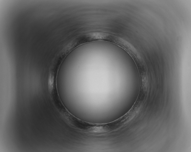 X0000102410406200808081328