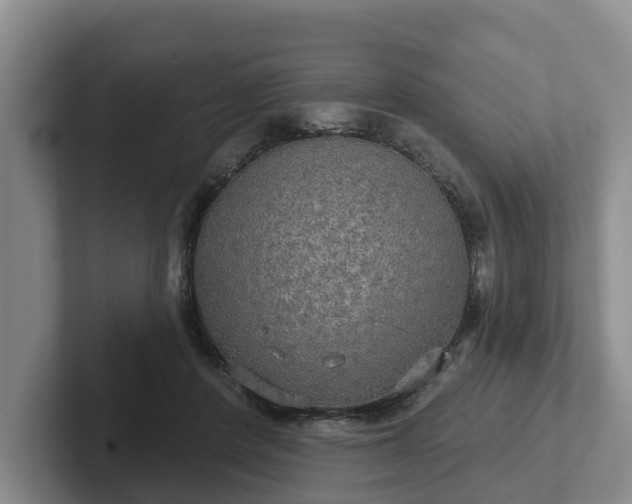 X0000102410408200808081328