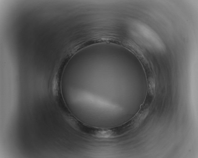 X0000102410410200808081328