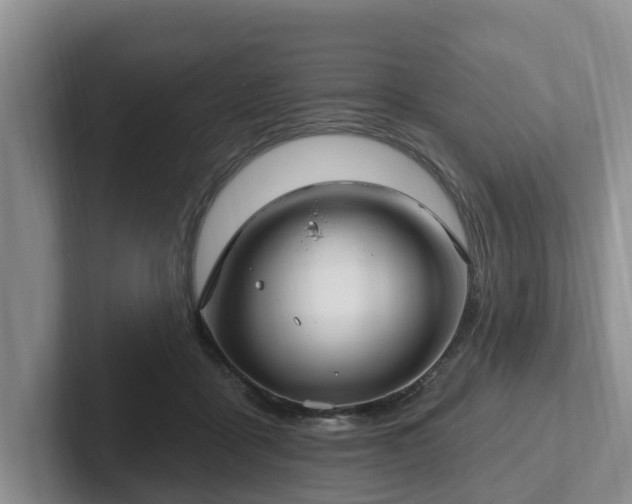 X0000102410411200808081328