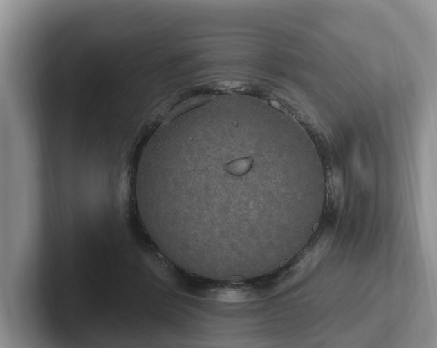 X0000102410412200808081328