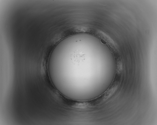 X0000102410414200808081328