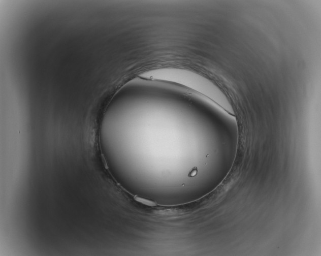 X0000102410417200808081328