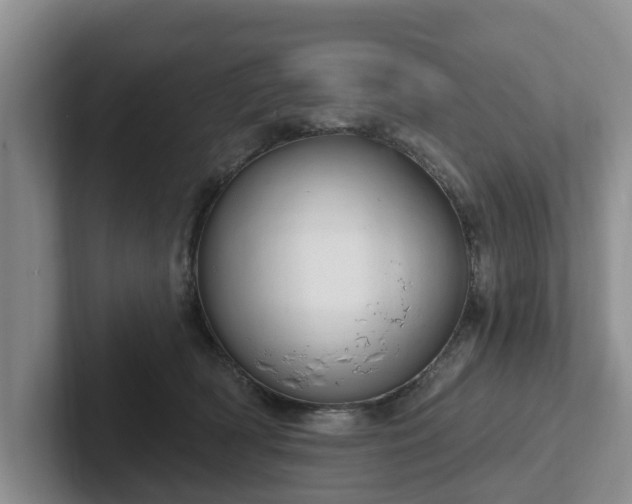 X0000102410418200808081328