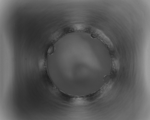 X0000102410419200808081328