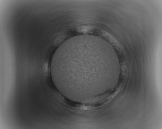 X0000102410420200808081328