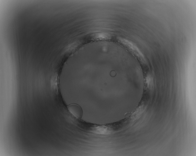 X0000102410423200808081328