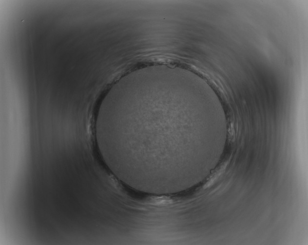 X0000102410424200808081328