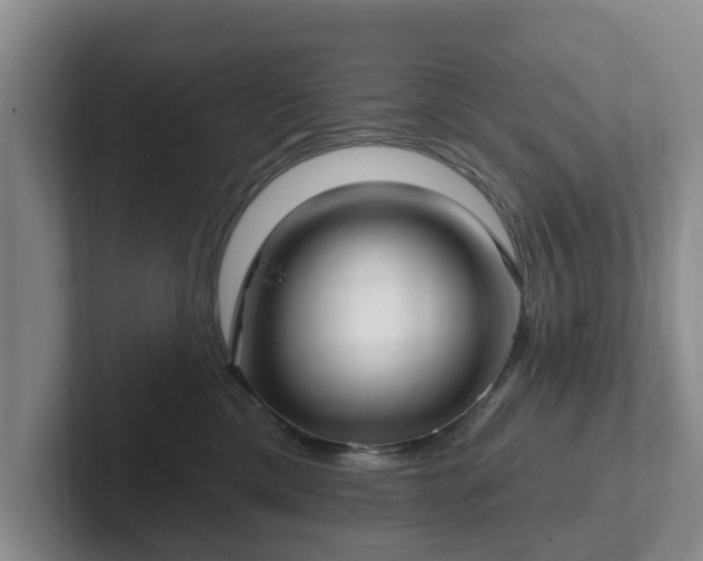 X0000102410425200808081328