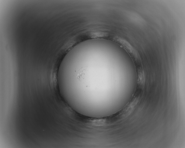 X0000102410426200808081328