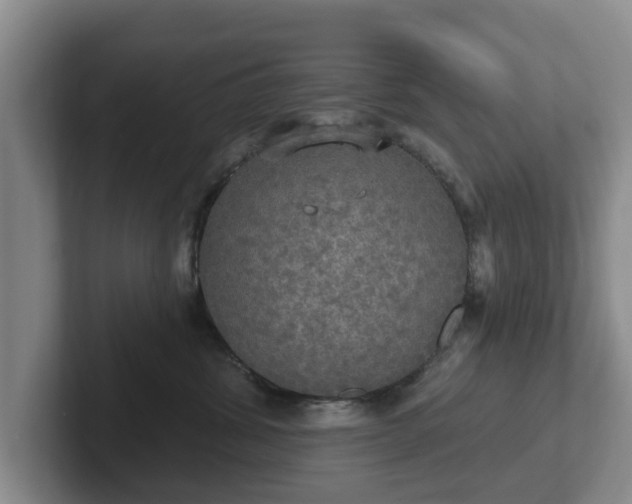 X0000102410428200808081328