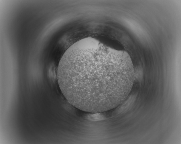 X0000102410431200808081328