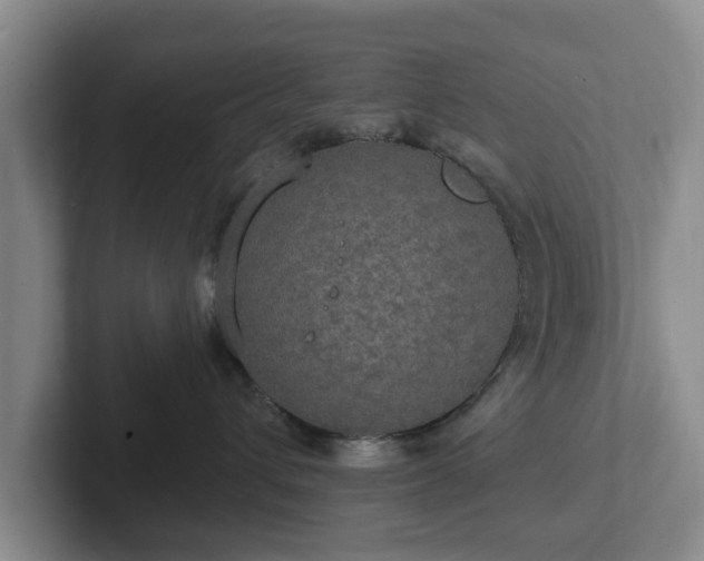 X0000102410432200808081328